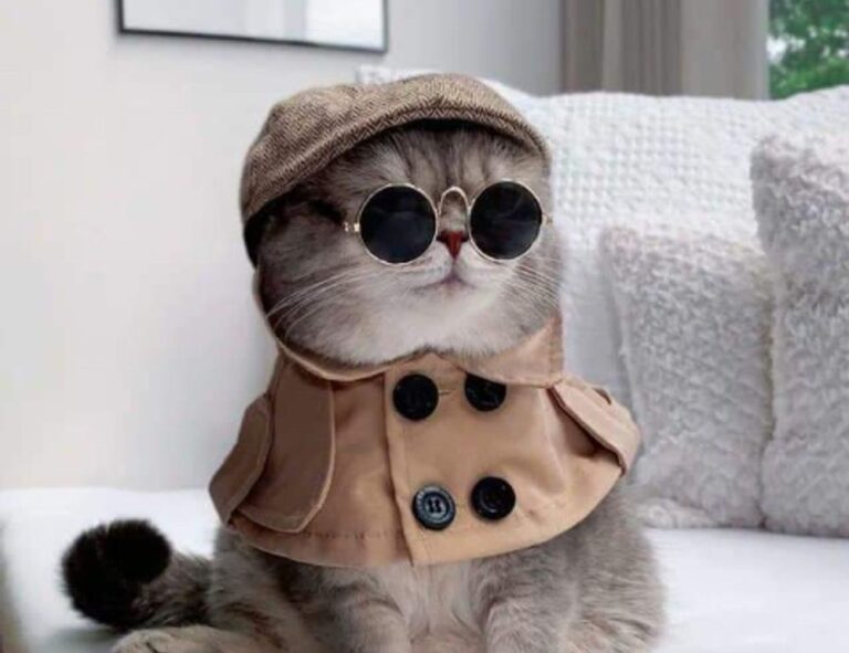 tgageeks gaming hacks