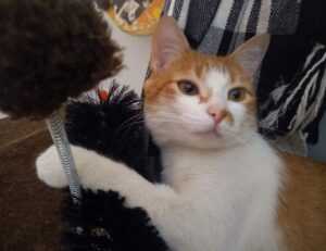 tgageeks gaming news from thegamearchives