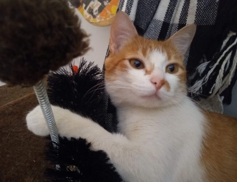 tgageeks gaming news from thegamearchives