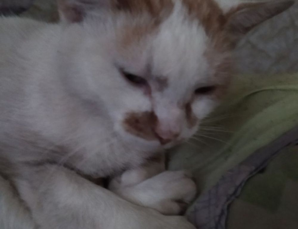 tgageeks gaming updates by thegamearchives