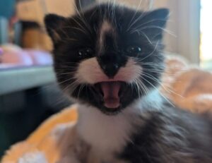 tgarchirvetech gaming trends