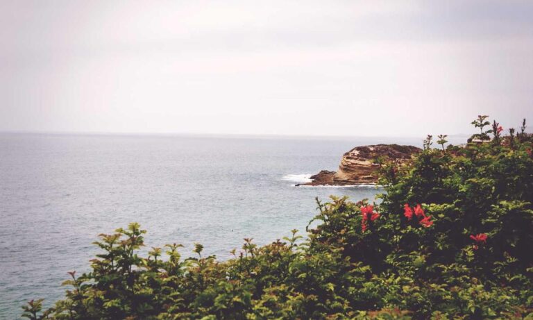 tgarchirvetech news from thegamingarchives