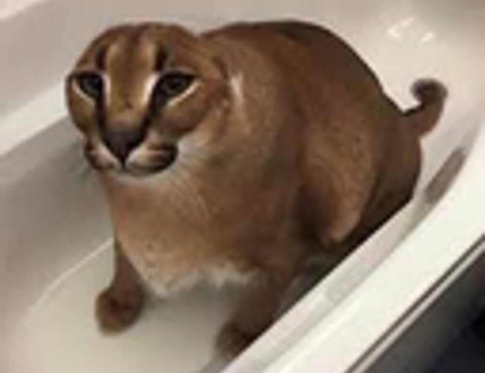 the online tournament tportvent