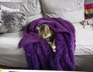 togamesticky gamestick by thinkofgamers