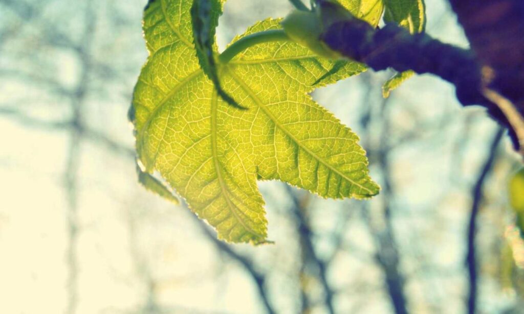 togamesticky gaming guide by thinkofgamers