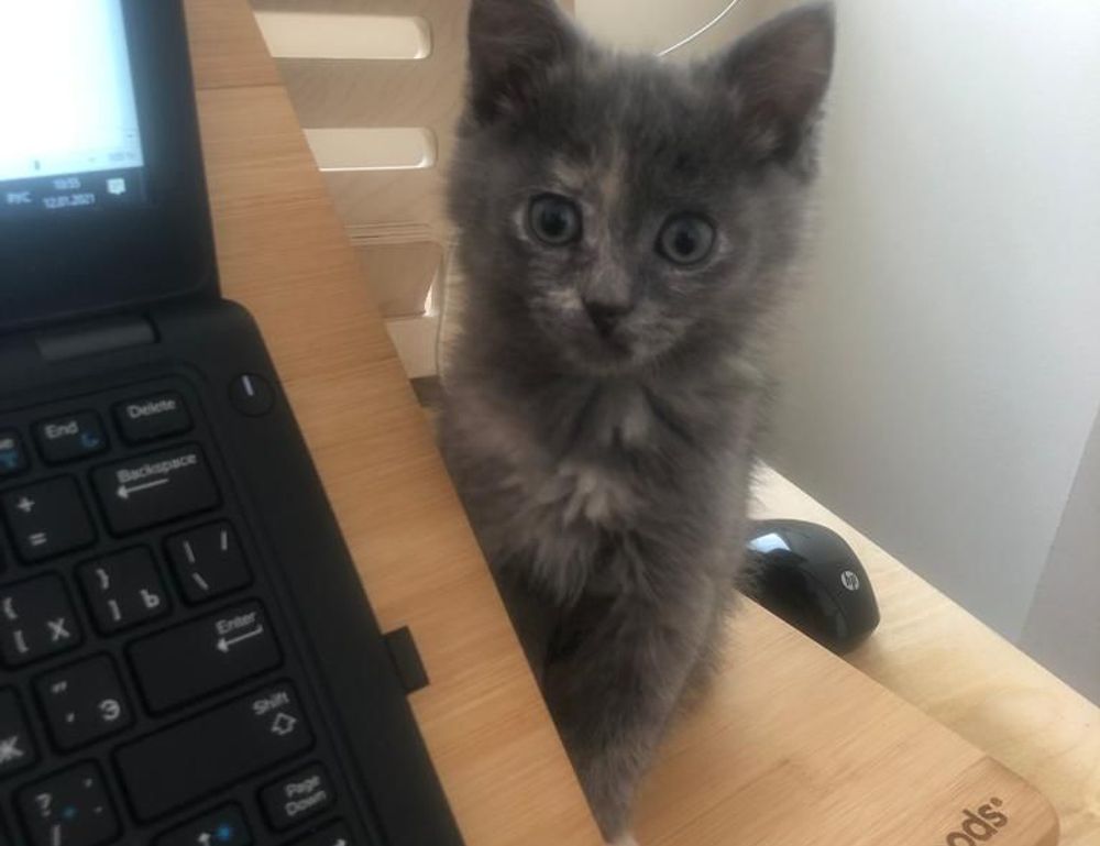 togamesticky gaming hacks from thinkofgamers