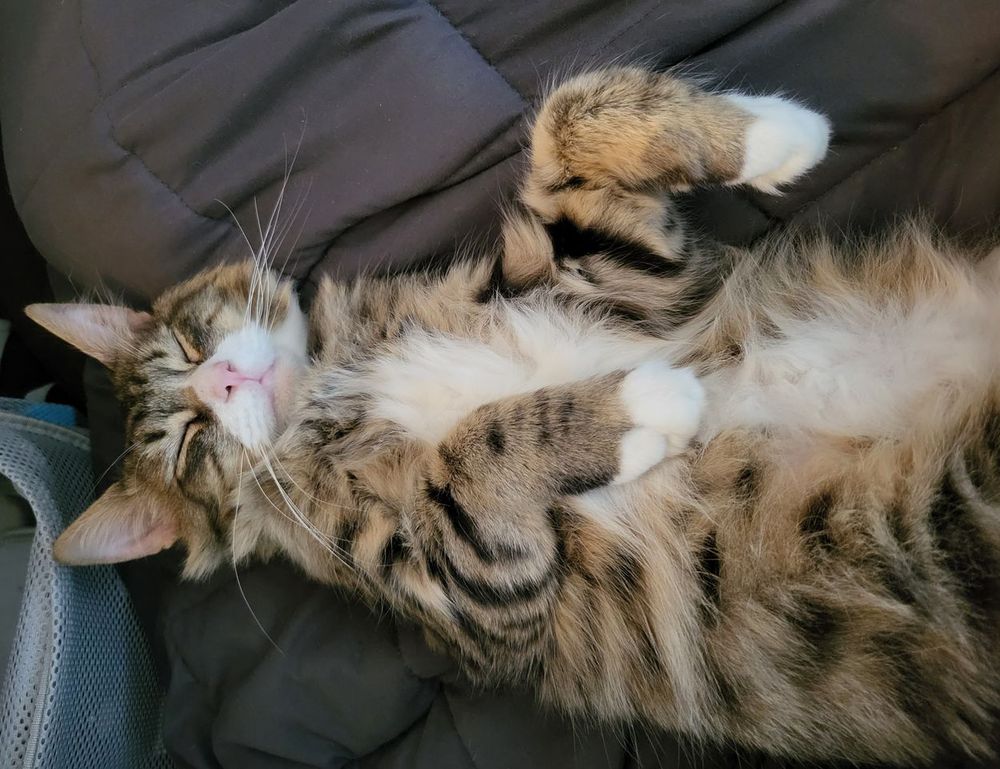 togamesticky gaming hacks from thinkofgamers