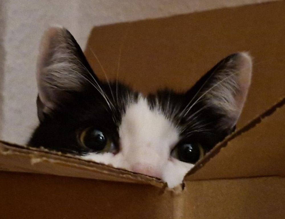 togamesticky gaming hacks from thinkofgamers