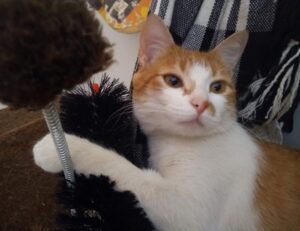 togamesticky new gamestick from thinkofgamers