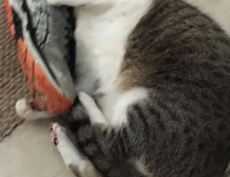 tutorials undergarcade