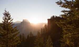 undergarcade multiplayer