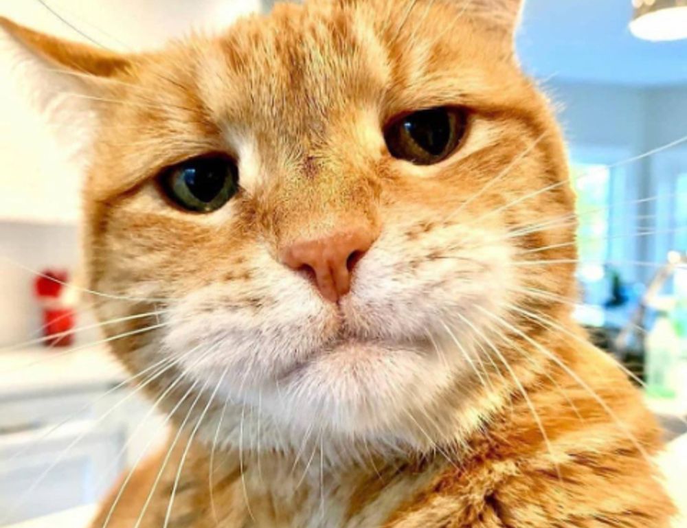 undergarcade updates from undergrowthgames