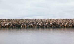 upgrades scookiegear