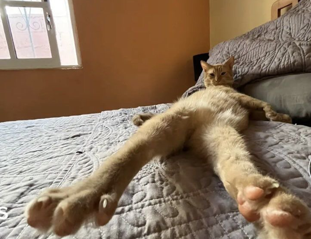 video game console togamesticky