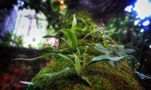 what are the best gaming upgrades scookiegear