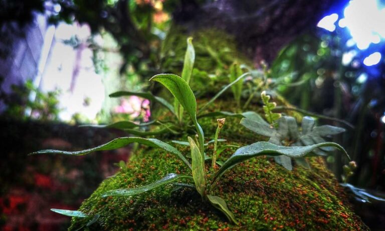 what are the best gaming upgrades scookiegear