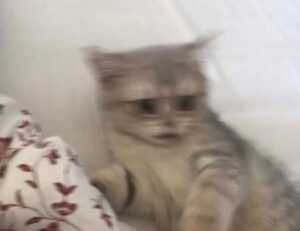 what games can you hack togamesticky