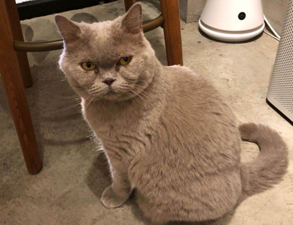 what games can you hack togamesticky