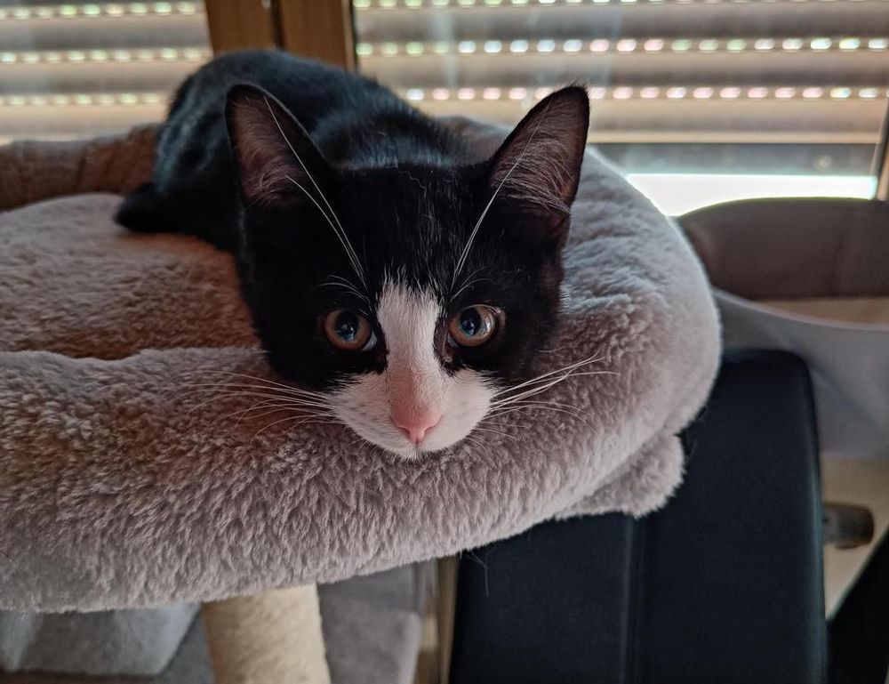 what games can you hack togamesticky