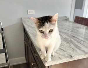 what new game just came out jogameplayer