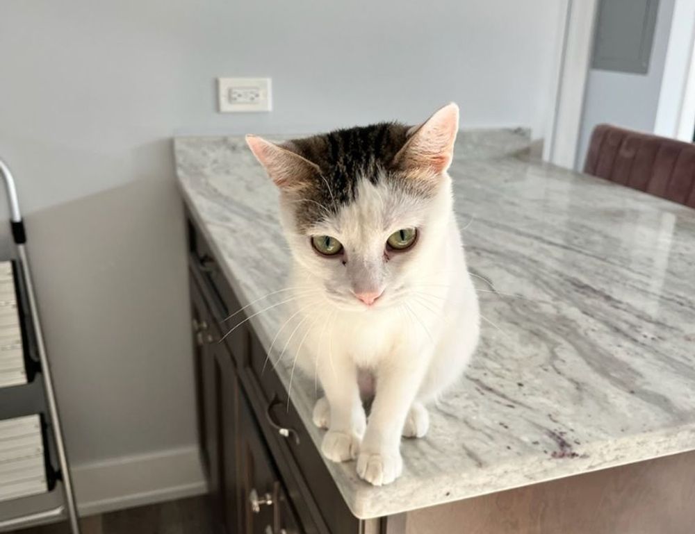 what new game just came out jogameplayer