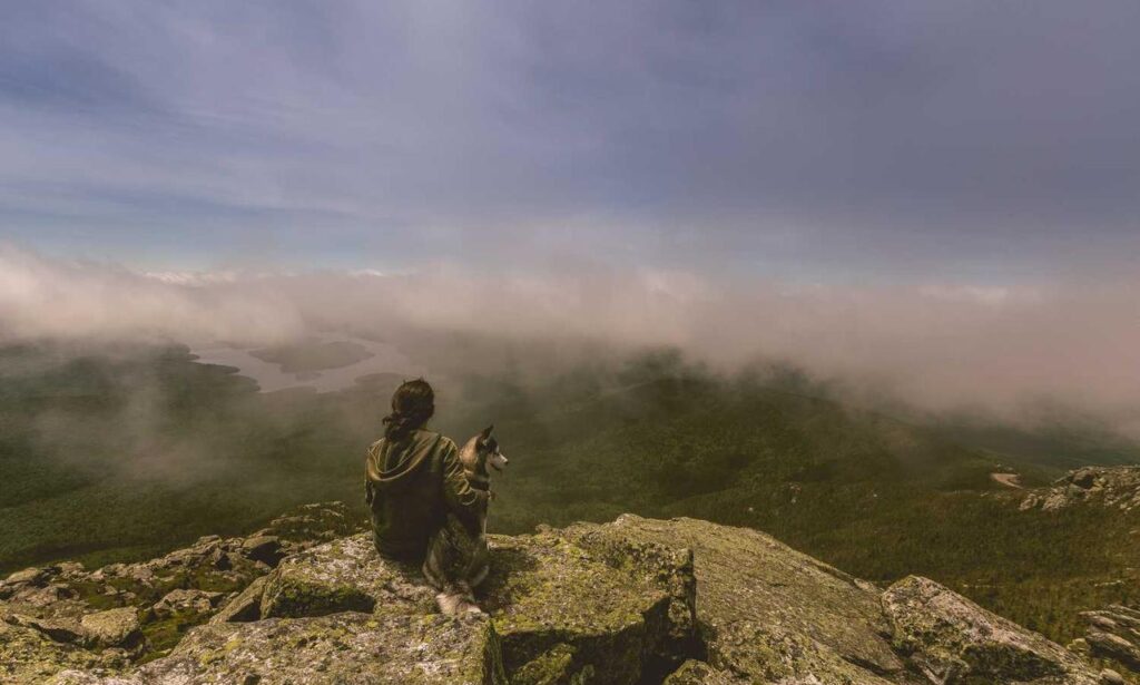 what new gaming systems are coming out jogametech