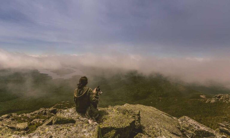 what new gaming systems are coming out jogametech