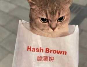 when should i upgrade my gaming pc jogameplayer