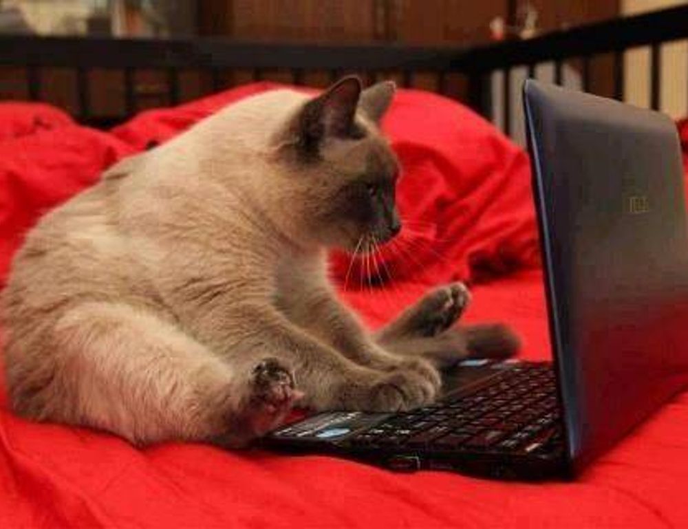 where to find togamesticky