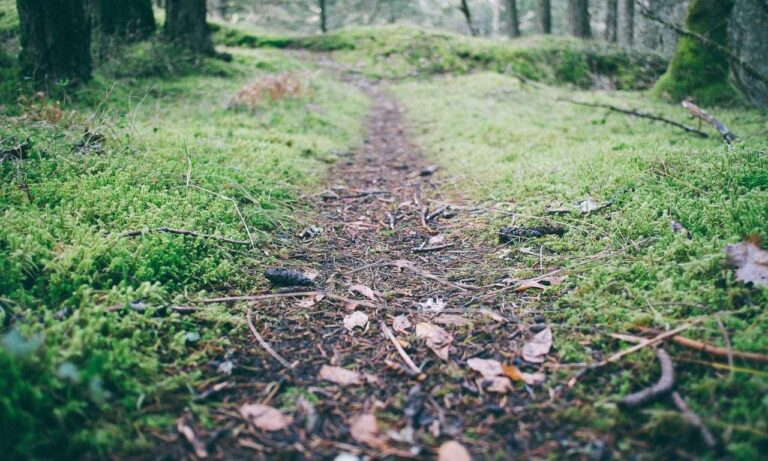 which gaming console should i buy bfnctutorials