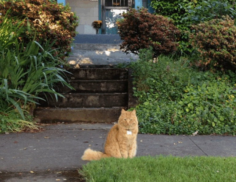 which online game has the most players tportvent