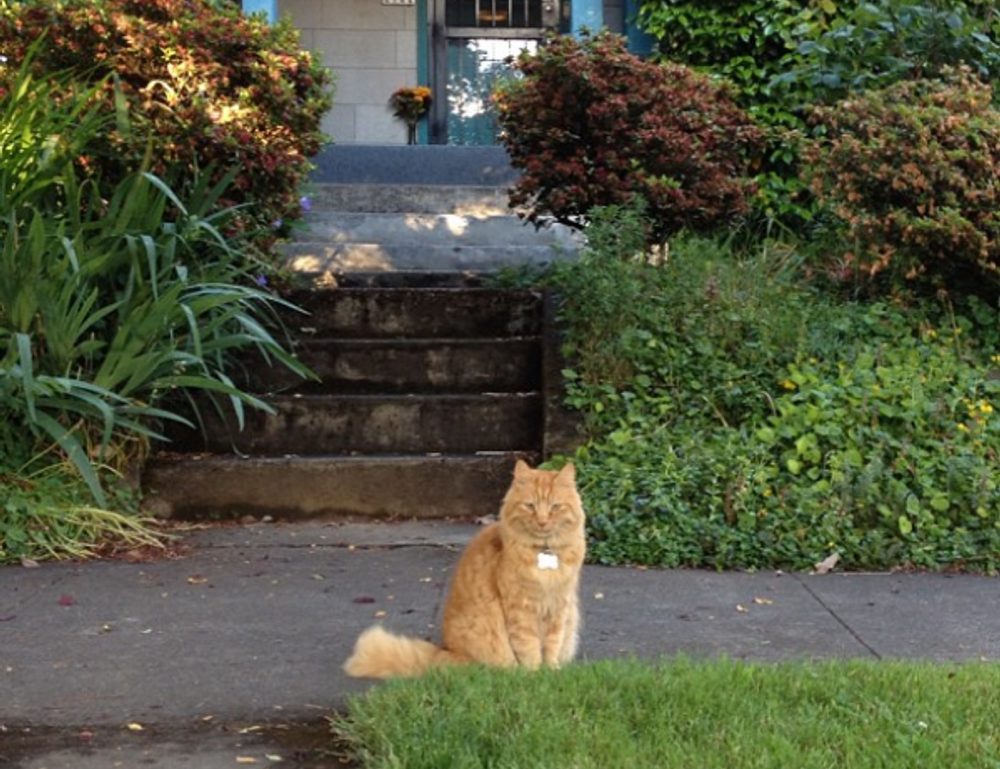 which online game has the most players tportvent