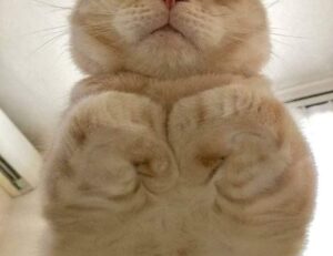 why do hackers hack in games togamesticky