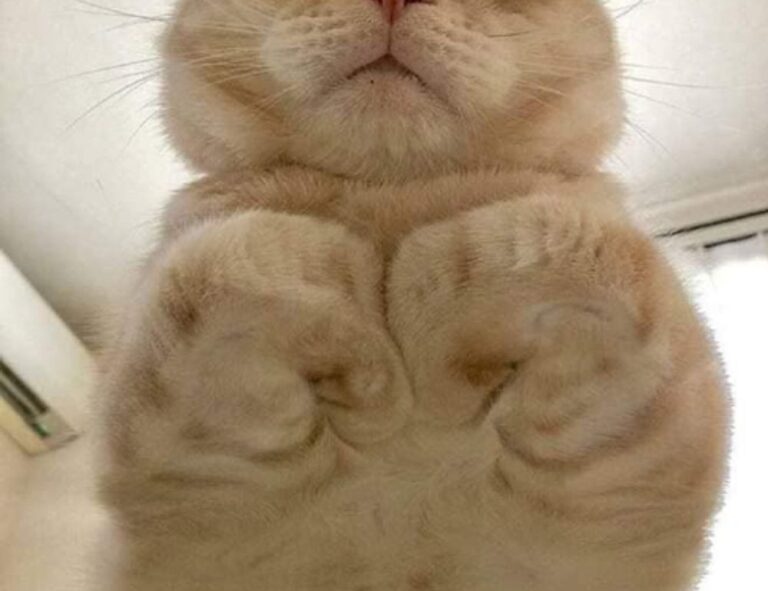 why do hackers hack in games togamesticky