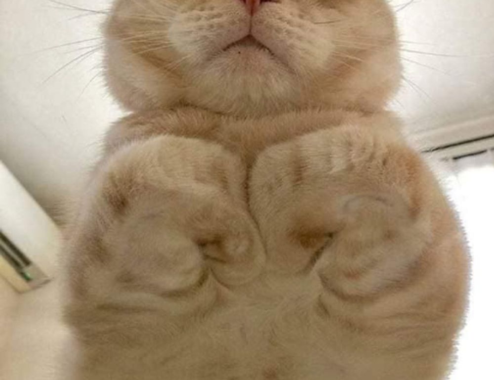 why do hackers hack in games togamesticky