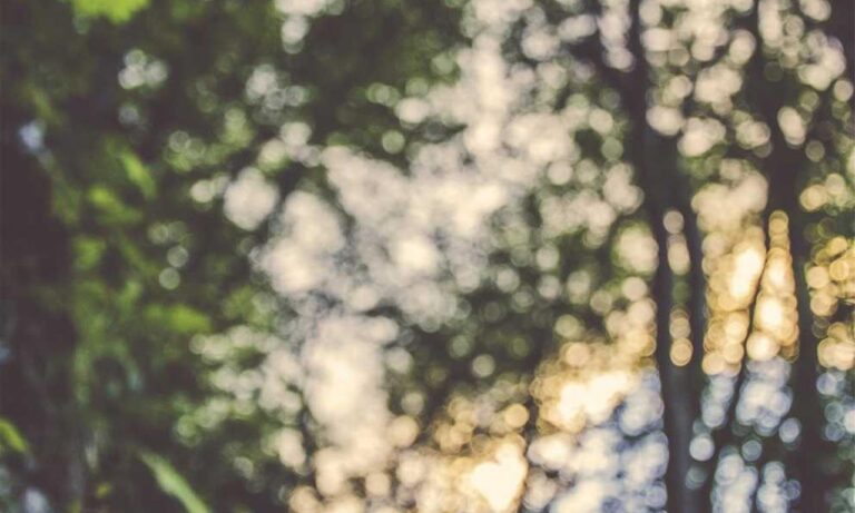 why do hackers hack in games togamesticky