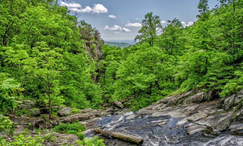 why gaming is good for you tportesports