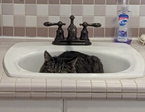 why gaming should be a sport befitgametek