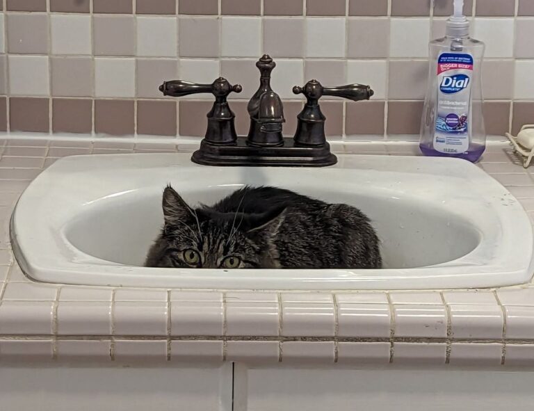 why gaming should be a sport befitgametek