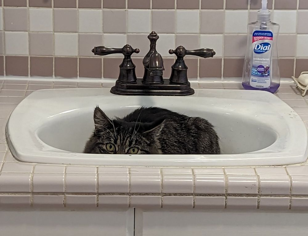 why gaming should be a sport befitgametek