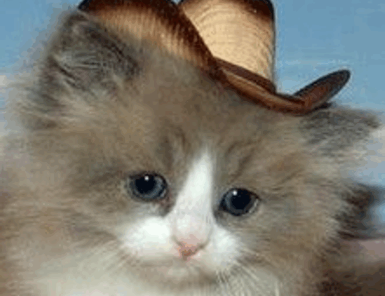 world news jogameplayer