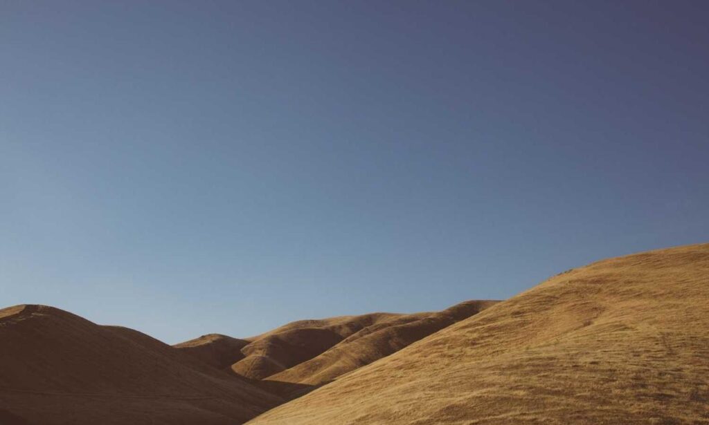 digitalrgsorg gaming world