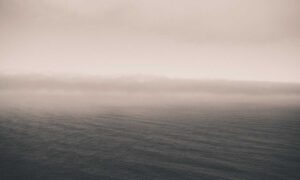 everything apple digitalrgsorg