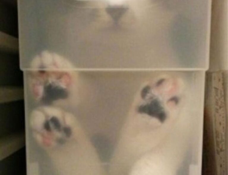 gaming world digitalrgsorg