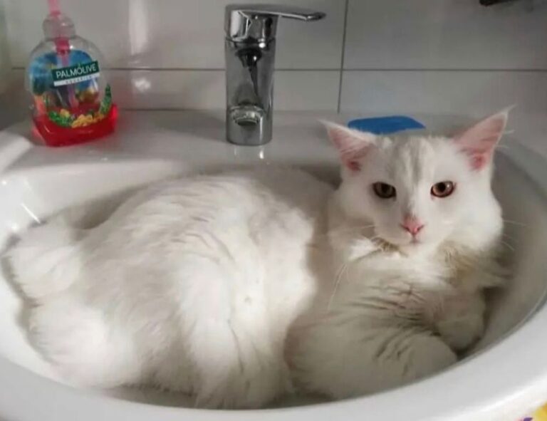 tech articles digitalrgsorg