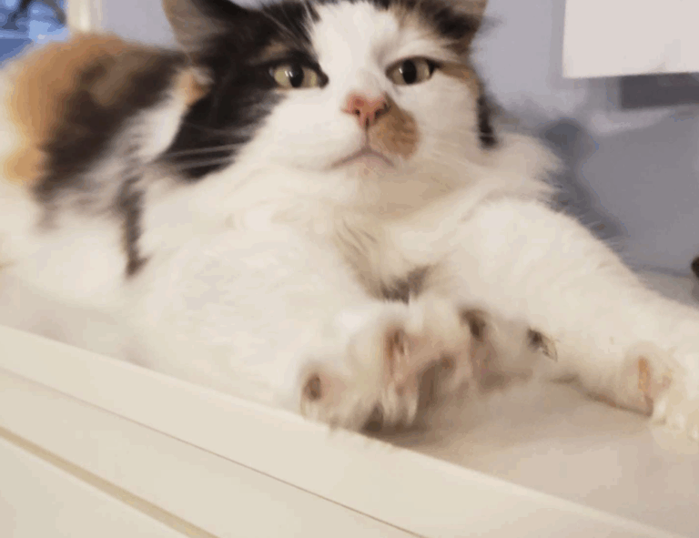 tech news digitalrgsorg