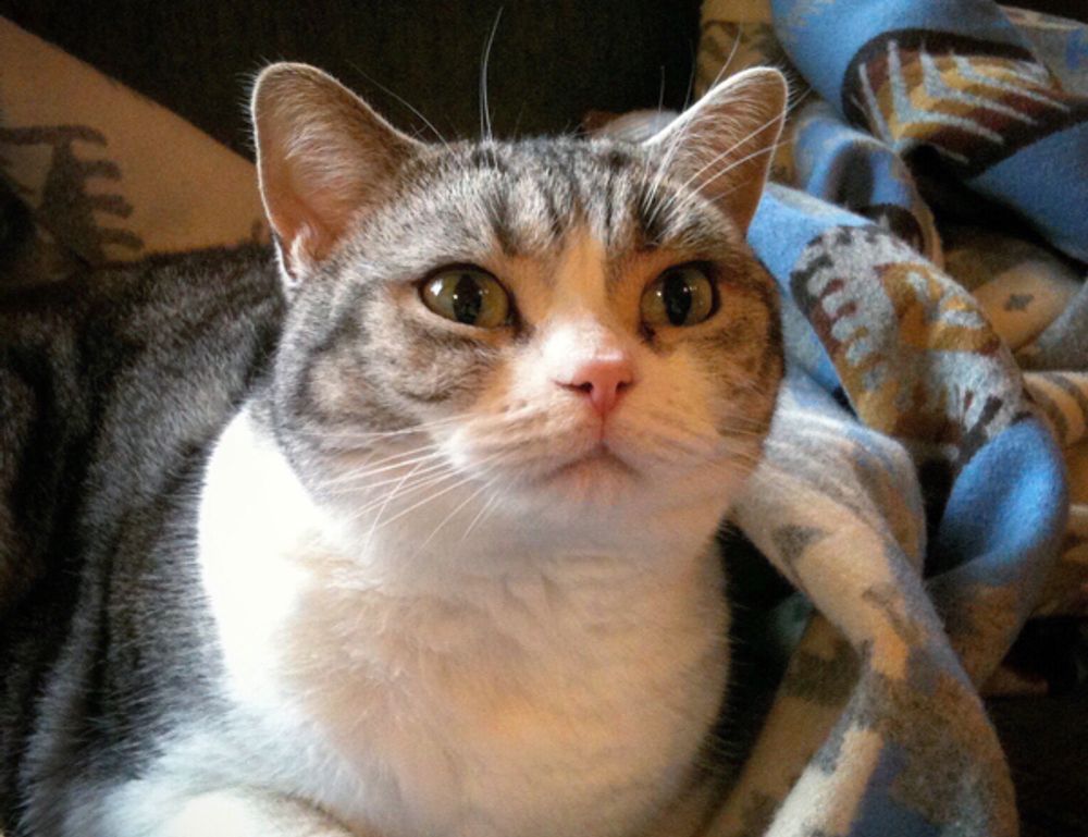 tech updates digitalrgsorg