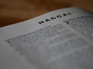 Lightniteone New Version on Pc