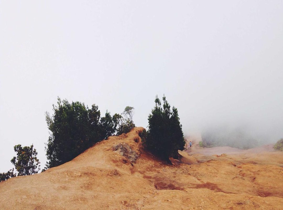 Warning: Common Traps That Cost You Money on Currency Exchange