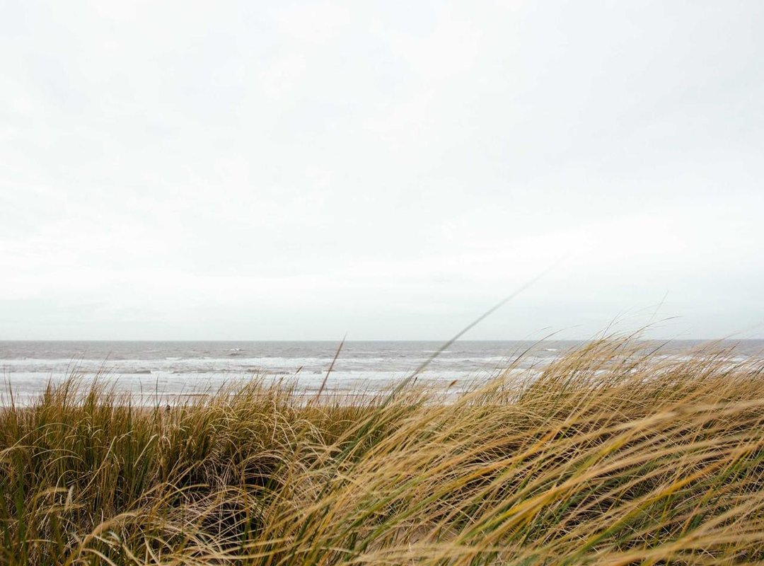 Opening the Floodgates: Why Spot Bitcoin ETFs Changed Everything